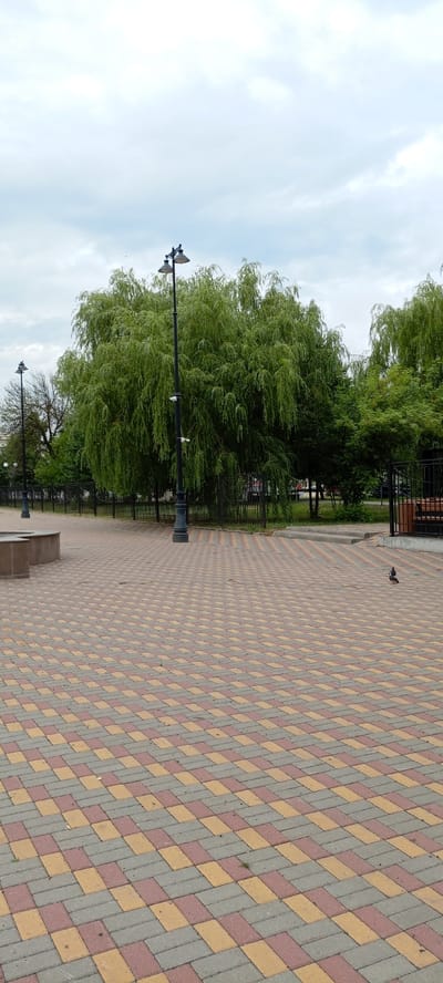 The image depicts a park pathway in the city of Kirsanov, Russia. The pathway is paved with interlocking bricks in a pattern of red, yellow, and gray. Two ornate lampposts with multiple lights are visible along the path. A large weeping willow tree dominates the center of the frame, with other trees and a black metal fence in the background. To the right, a section of a black metal fence encloses a seating area with a bench. A single pigeon stands on the brick pathway in the foreground. The sky is overcast with light gray clouds.