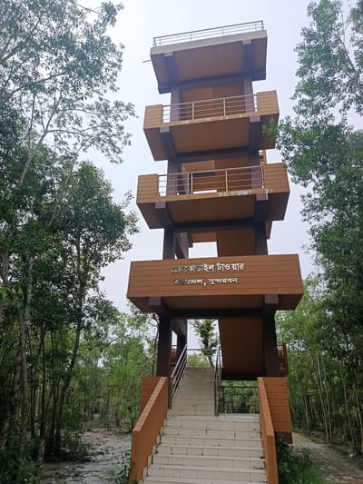 The image captures a multi-story observation tower situated in the dense forest of Baniashanta, Bangladesh. The tower, primarily constructed with brown and orange elements, features multiple levels with railings and balconies, suggesting a vantage point for observing the surrounding environment. A wide staircase with white steps and brown railings leads up to the first level of the tower. The tower is surrounded by lush green trees, their branches reaching towards the overcast sky, creating a natural and somewhat enclosed atmosphere. The ground area near the tower appears to be a mix of dirt and scattered leaves. The overall scene depicts a man-made structure integrated into a natural, forested landscape.