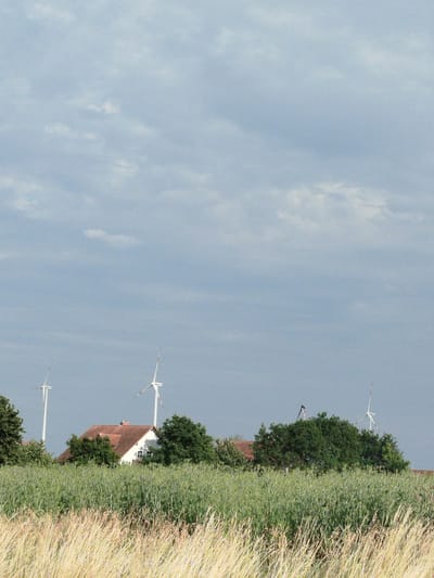 This media file depicts a rural landscape in Biebelried, Germany, under a cloudy sky. The foreground is dominated by a field of tall, dry grass, transitioning to a lush green crop in the mid-ground. Behind the crops, a cluster of trees partially obscures a residential building with a red tiled roof. Several wind turbines are visible in the background. One wind turbine is positioned to the far left, another between the trees and the house, and a third to the right of the house. The sky is overcast with scattered clouds, suggesting it might be a cooler day with diffused sunlight, possibly late afternoon or early morning. There are no people or animals visible in the scene. The overall impression is one of a quiet, agricultural setting, highlighting the presence of renewable energy infrastructure.