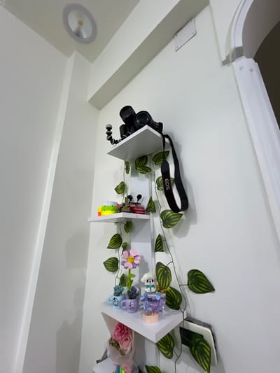 A low-angle, indoor shot depicts a white wall with a floating shelf adorned with objects. On the left side of the shelf, a black camera with a flexible tripod sits next to a black camera strap with "EOS" printed on it. Towards the middle, a Rubik's cube and other small toys are visible. On the right side, there are LEGO-style flowers, small cups, and a bouquet of pink roses. A decorative vine with green and yellow striped leaves is draped around the shelf. A white ceiling is visible above the shelf, with a circular light fixture in the lower left corner. There is no evidence that the location is in Rukn ad-Din Municipality, Syria.
