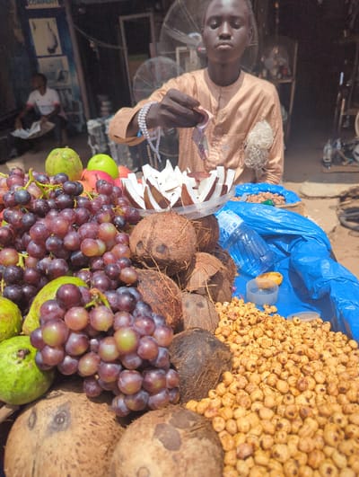 A young man, dressed in a tan, long-sleeved tunic, stands behind a market stall in Shaba, Nigeria. He is holding out what appears to be Nigerian currency in his right hand. In front of him is an assortment of fruits and nuts. Bunches of red grapes, several green guavas, and two green apples are visible. Slices of coconut are arranged in a clear plastic bowl. Several whole coconuts are on the table, along with a pile of small, round, light brown nuts. A blue plastic sheet covers part of the stall, and a clear plastic bottle of water rests on top of it. In the background, another person is seated, and part of a fan can be seen. The scene suggests a bustling outdoor market environment.