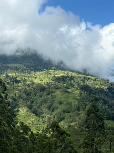 A verdant mountain slope is partially shrouded in mist and clouds. The lower regions boast dense foliage, transitioning into open grassy areas higher up, hinting at possible terraced cultivation. Light streams through the clouds, highlighting sections of the landscape. The sky is partially visible on the left, showing a bright blue hue contrasting with the white clouds.