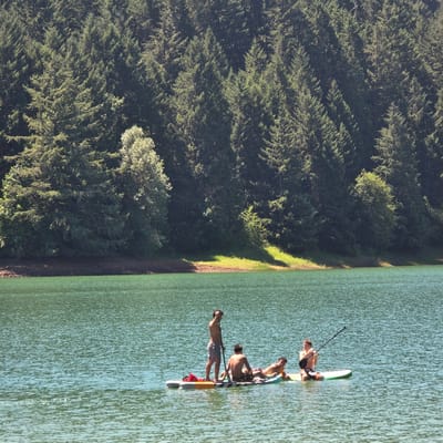 Four individuals are paddleboarding on a calm, green body of water. The background consists of a dense forest of evergreen trees, with a shoreline visible at the base of the trees. The individuals are spread across two paddleboards. One paddleboard has three people: one standing, one sitting, and one lying down. The second paddleboard has one person sitting and holding a paddle. The person standing on the first paddleboard is wearing grey shorts and is holding a paddle. The person sitting on the first paddleboard is wearing patterned shorts. The person lying down on the first paddleboard is wearing red and white patterned shorts. The person on the second paddleboard is wearing patterned shorts and is holding a paddle. A red life vest is visible on the front of the first paddleboard. The sky is not visible. The image appears to be taken during daylight hours. The location is identified as Cherry Grove, United States.