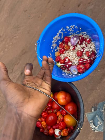 Two buckets filled with food sit next to each other. The left bucket is blue and contains small white seeds, red peppers, and sliced onions. The right bucket is black and holds tomatoes and small red peppers. A dark-skinned hand reaches towards the buckets, seemingly holding the handle of one. The ground is visible in the background.