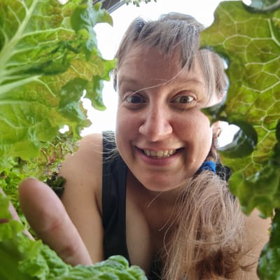A low-angle, close-up shot captures a woman's face peeking through lettuce leaves, suggesting an outdoor setting, possibly a garden. The woman, with light brown hair pulled back in a ponytail secured by a blue elastic, looks directly at the camera with wide, brown eyes and a broad smile, revealing her teeth. Her skin appears fair, with some fine lines visible around her eyes and on her forehead. She is wearing a dark, possibly black, tank top. A hand with short, light fingernails is visible in the foreground, extending from the left side of the frame, interacting with the lettuce. The lettuce leaves are vibrant green with reddish-brown edges, some slightly wilted, and their veins are clearly visible, creating a natural frame around the woman's face. The background is largely out of focus, appearing as a bright, blown-out sky, indicating the photo was taken during daylight hours, possibly outdoors. There are no discernible elements that place this image specifically in Dunnae-myeon, South Korea; the environment appears generic.