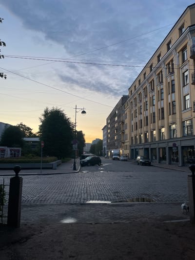 The image captures a street scene in Vyborg, Russia, during what appears to be either dawn or dusk, indicated by the soft, diffused light and the warm hues in the sky. The perspective is from a slightly elevated position, looking down a cobblestone street lined with buildings.
On the right side of the street, a multi-story building with a yellow facade dominates the view. This building features ornate detailing, including decorative moldings around the windows and a mansard roof. Several windows are visible, some reflecting the sky and others appearing darker. The ground floor of this building has large storefront windows. Adjacent to this building, further down the street, is another building with a darker facade, appearing more utilitarian.
On the left side of the street, there is a pedestrian area with trees and landscaping. A dark granite pillar with a decorative finial stands in the foreground on the left. A street lamp with a spherical fixture is positioned on the sidewalk, and there are several traffic signs visible.
The street itself is paved with cobblestones, and several puddles of water are present, reflecting the surrounding environment. A few vehicles are parked or driving on the street, including a dark-colored SUV, a white van, and a lighter-colored car. A small white dog is walking on the cobblestone area in the lower right portion of the frame. The sky is partly cloudy, with a gradient of colors from pale yellow near the horizon to shades of grey and blue higher up. Overhead, there are power lines crisscrossing the scene.
