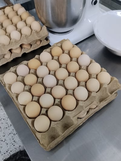 The image shows a close-up, top-down view of several cartons of brown and white eggs arranged on a metallic surface. In the background, parts of a large industrial kitchen mixer and a white bowl are visible. The eggs are neatly placed in molded pulp egg cartons. The lighting suggests an indoor setting, possibly a kitchen or food preparation area. The scene appears to be staged for a photograph, focusing on the presentation of the eggs. No text is visible in the image.