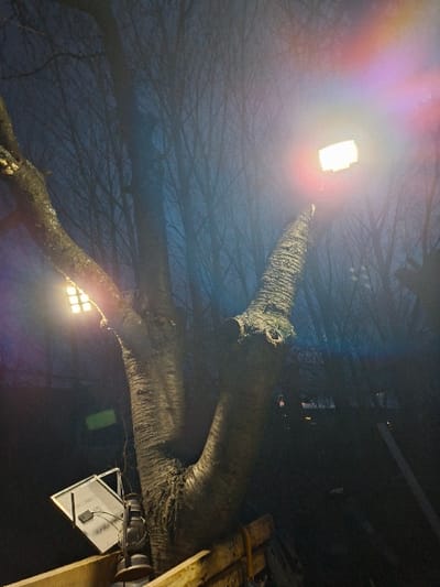 The scene depicts an outdoor environment at night in Moshtanets, Bulgaria. A large, multi-trunked deciduous tree with prominent bare branches dominates the central and upper portions of the image. Two bright, rectangular artificial light fixtures are visible: one is mounted high on an upward-reaching branch on the right, emitting a strong white-yellow glow with significant lens flare; another similar light is positioned lower on the left. Near the base of the tree on the left, a white rectangular panel, possibly a solar panel, is angled with visible wiring, next to a dark, cylindrical object resembling a lantern. A wooden fence structure with horizontal planks runs along the bottom of the image. The background features numerous silhouettes of bare trees against a dark blue-grey sky, with faint, distant artificial lights scattered throughout. No individuals or specific actions are observed.