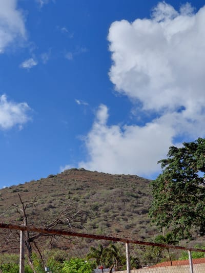This is a vertical, eye-level, outdoor, daylight photograph taken in the city of Santa Ana, Venezuela. The image depicts a barren, brown, and green-covered hillside dominating the middle ground and background. The hillside is sparsely populated with small green shrubs and trees. The top portion of the frame is filled with a bright blue sky, punctuated by large, fluffy white clouds, particularly on the right side. In the foreground, a rusted metal chain-link fence runs horizontally across the lower third of the image. Behind the fence, lush green vegetation and palm trees are visible. A dead, leafless tree stands to the left of the frame, partially obscured by the fence.