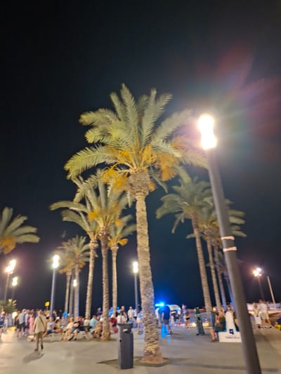 This is a low-light, slightly out-of-focus photograph taken at night in Torrevieja, Spain. The scene depicts a bustling promenade lined with palm trees. Several streetlights illuminate the area, casting a warm glow on the pavement and surrounding vegetation. A group of people, appearing to be tourists or locals, are seen walking, sitting on benches, and interacting with each other. Some individuals are dressed casually, suggesting a relaxed evening atmosphere. In the background, there are glimpses of buildings and the dark night sky. The presence of palm trees and the apparent coastal setting are characteristic of Torrevieja's popular beachfront areas, such as the Paseo Marítimo. The image captures a vibrant and lively urban environment at night.