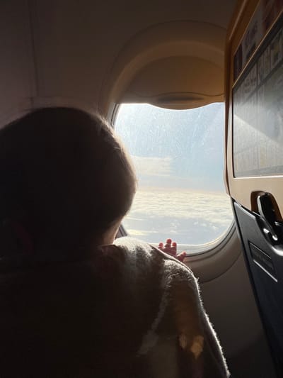 The image captures an aerial view from within an aircraft cabin, focused on a window. In the foreground, the back of a person's head and shoulders, consistent with a young child, are visible in silhouette. The individual, wearing a light-colored, possibly woolen, garment on their upper body, faces away from the camera and towards the window. Their right hand, with fingers slightly splayed, is pressed against the window's surface.
Outside the aircraft window, a bright daytime sky is visible above a vast expanse of dense, white cloud cover stretching to the horizon, indicating flight at a high altitude. The window pane itself exhibits numerous smudges and scratches. To the right of the window, a portion of an adjacent passenger seat's back is visible, including a beige-colored frame for an in-flight information or entertainment screen, with faint text such as "HOT DRINKS" discernible at its upper edge. The cabin interior is dimly lit in contrast to the bright exterior. No specific ground features or other identifiers are present in the image to determine a location within Babergh, United Kingdom.