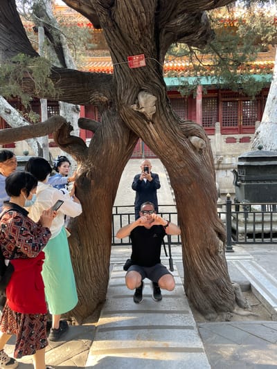 The photograph captures a group of people gathered around a large, weathered tree in what appears to be a tourist destination. The location is the city of Dongcheng District, China. The tree’s thick, gnarled branches extend horizontally across the frame. Several individuals are looking at or interacting with the tree. One woman, dressed in a light-colored traditional Chinese dress, is touching the tree trunk while looking up. Another person in a red jacket is standing nearby, with the rest of the group wearing a combination of modern and traditional attire. An additional man is positioned behind the tree, framing himself with his hands in the foreground, while another man behind him is holding up a smartphone. The area surrounding the tree is paved with stone slabs. The background contains architectural elements, including red-framed windows and decorative details, suggesting an imperial or historic setting.