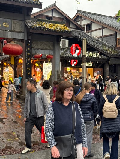 The photo captures a bustling street scene in Shapingba District, China. The environment is characterized by traditional Chinese architecture, including tiered roofs adorned with yellow leaves. Red lanterns hang along the street. 

A mix of people are walking along the wet street. The photograph is taken at eye level. The photograph shows signage of ‘Cha Yan Yue Se.’