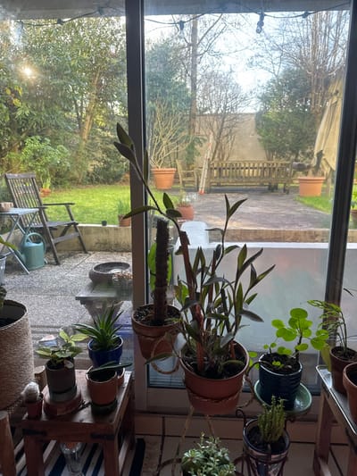 The image presents an indoor-to-outdoor view through a large glass sliding door or window, located in Vincennes, France. The scene is devoid of human presence.
In the immediate foreground, a collection of potted plants occupies an indoor space. On the left, a portion of a large plant in a textured, light-colored pot is visible. To its right, a small wooden stool supports multiple smaller potted plants: a diminutive cactus, a plant in a dark brown pot, a plant with spiky leaves in a blue pot, and another in a reddish-brown pot. Directly in front of the glass, a tall plant with dark green, elongated leaves is supported by a moss pole within a terracotta-colored pot, suspended by a visible rope. Adjacent to it, another plant with dark green foliage and thin stems is held upright by wooden stakes in a similar terracotta-colored pot, resting on an ornate metal stand. Further to the right, a plant with rounded, flat green leaves is in a blue pot on a green saucer. Below this, a spiky succulent is in a blue and white patterned pot. Several other small succulents or plants are visible in a hanging pot near the bottom center. The indoor floor appears tiled, and a striped mat is partially visible.
Beyond the glass, an outdoor residential garden is visible under clear daylight. A paved patio extends directly from the structure, separated from a grassy lawn by a low concrete or stone retaining wall. On the left side of the patio, a dark wooden folding chair and a small round slatted table are positioned. A light green watering can rests on the patio floor nearby. A dark, shallow bowl is situated on a low wooden object near the retaining wall.
The garden features diverse vegetation. The lawn is green, surrounded by numerous trees and shrubs, some with dense green foliage, while others display bare branches, indicative of deciduous species in a leafless state. A light-colored wall is visible in the distant background.
On the far side of the lawn, a large wooden garden bench with a slatted design is centrally located on a paved surface. To the left of the bench, a metallic silver ladder leans against a tree or wall. Two large, identical terracotta-colored pots are placed symmetrically on the edges of the lawn near the bench. On the far right, a large, folded beige or light-colored garden umbrella is visible. A bright sun flare emanates from the upper left portion of the outdoor scene, reflecting on the glass.