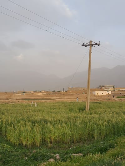 The image depicts a rural scene in Unknown, Pakistan. A tall, light-colored utility pole with electrical wires spans across the left side of the frame. Birds are perched on the wires. Beyond the pole, a hazy mountainous region is visible in the background. To the right, a narrow dirt road runs alongside a sparse line of buildings. Further right, a field of tall green grass extends towards the edge of the frame. A few people are visible along the dirt road.
