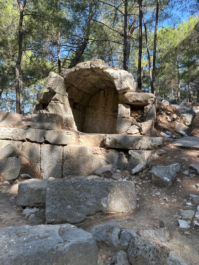 The image shows an ancient stone structure partially submerged in a forest setting. The structure is constructed from large, rough-hewn stones, forming an arched opening and tiered levels. The stones appear weathered and ancient. The surrounding environment is a pine forest, with tall trees casting shadows on the ground, which is covered in pine needles and loose soil. Sunlight filters through the trees, illuminating parts of the stonework. In the foreground, several large, unworked stones lie scattered on the ground.
This archaeological site is located in Fethiye, Turkey, specifically at the ancient Lycian city of Telmessos, known for its well-preserved rock tombs and other historical ruins. This particular structure is likely part of the ancient Telmessos ruins, possibly a tomb or a section of a larger edifice. There are no people visible in the image.