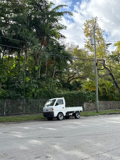 A white mini truck is parked on the right side of an asphalt road, bordered by a green hedge and a black iron fence. Behind the fence, a lush collection of tropical palm trees and greenery fills the frame. Overhead, a utility pole stretches horizontally, with power lines cutting across the sky. The sky is partially cloudy, with patches of blue visible through the leaves of trees overhead.