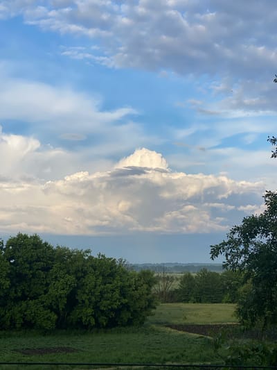 A wide shot captures a rural landscape with a prominent sky filled with dramatic clouds. In the foreground, lush green trees frame the scene, with a large, dense cluster of trees on the left and branches of another tree on the right. Beyond the trees, a green field stretches out, punctuated by a dark, tilled patch of soil. In the distance, a hazy horizon shows more trees and a subtle hint of fields. The sky is a mix of blue and grey, with large, white cumulus clouds dominating the center, one particularly large cloud forming a central peak. The overall impression is one of natural beauty and an expansive, open environment.