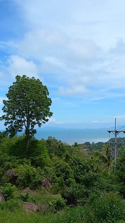 The image displays a tropical coastal landscape. In the foreground, a large, leafy green tree with a thick trunk dominates the left side of the frame, its branches spreading wide. Behind the tree, lush green vegetation covers a rocky hillside, with some plants appearing to be growing out of crevices in the rocks. The middle ground features a serene ocean, its calm surface reflecting the light blue sky. Distant islands or landmasses are faintly visible on the horizon, shrouded in a light haze. The sky is a clear blue with scattered white clouds, suggesting fair weather.

On the right side of the image, a utility pole with wires stands prominently, indicating the presence of infrastructure. The vegetation on the right is dense and varied, with palm trees visible amongst other tropical foliage. The overall impression is one of natural beauty and tranquility. The scene is likely set in the morning or afternoon, given the bright, diffused light. There is no visible text in the image. The location context of Ban Tai Subdistrict, Thailand, suggests a warm, tropical environment.
