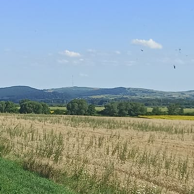 This image depicts a rural landscape with a focus on agricultural fields and rolling hills under a clear blue sky. In the foreground, a field of dried stalks, likely harvested grain, occupies the majority of the frame, bordered on the left by a strip of vibrant green grass. Beyond this, a line of lush green trees stands in front of a backdrop of more distant, undulating hills. A prominent telecommunications tower is visible on the crest of one of the hills in the mid-ground. The sky is mostly clear with a few scattered white clouds. There are no people or animals visible in the image. The scene appears to be located in the countryside, possibly in or around Gara, Romania, given the context provided. The overall impression is one of a peaceful, agricultural setting bathed in sunlight.
