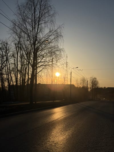 The image captures a winter cityscape at sunrise or sunset, likely in Berezniki, Russia. A bare tree with many branches occupies the left foreground, silhouetted against the pale sky. A street runs along the right side of the frame, with asphalt reflecting the sunlight. Power lines and streetlights are visible in the middle ground, further illuminated by the sun. Behind the streetlights, building silhouettes are barely visible. The sky transitions from a light blue to a golden hue where the sun is located.