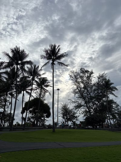 The image depicts a park-like setting in Karon, Thailand. The scene is dominated by a cloudy sky, suggesting overcast weather, possibly with some diffused sunlight breaking through. A line of palm trees runs along the left side of the frame, their dark silhouettes contrasting with the bright, textured clouds. To the right, a well-maintained green lawn is visible, bordered by a dark pathway. In the background, more trees and what appear to be buildings or structures can be seen, hinting at an urban or resort area. There are no people actively engaged in an activity, and the overall impression is one of a quiet, naturalistic environment under a dramatic sky. A single street lamp is visible rising above the trees in the middle distance. The time of day is unclear due to the overcast conditions, but it does not appear to be nighttime. There is no visible text in the image.