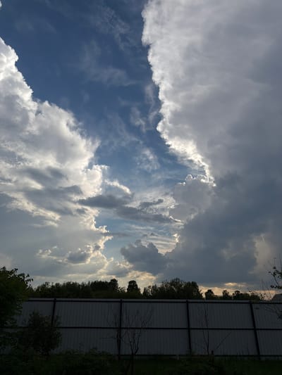 A low-angle, vertical, full outdoor shot captures a dramatic sky over Emel'yanovo, Russia. The sky is filled with a variety of clouds. The left side features bright, white, puffy clouds against a deep blue sky, some with illuminated edges suggesting sunlight breaking through. Moving towards the center and right, the clouds become larger, darker, and more textured, with some appearing to be storm clouds. A sliver of brighter sky is visible between the heavier clouds in the central area.
In the foreground, a grey metal corrugated fence runs horizontally across the bottom half of the image. Behind the fence, a dense line of dark green trees forms a natural barrier, with the tops of some taller trees visible against the sky. The very bottom of the image shows dark green foliage and the thin, bare branches of a few small trees or bushes in front of the fence. No people are present in the scene. The overall impression is of a cloudy, possibly pre-storm, late afternoon or early evening sky.
