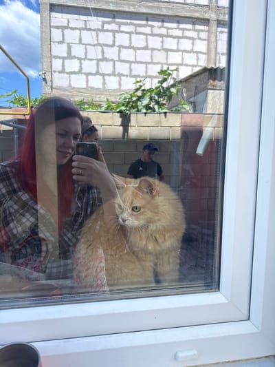 This is a reflection in a window on a sunny day, likely in Sudak, Ukraine. A woman with bright red hair is holding up a smartphone to take a selfie. She is wearing a plaid shirt over a floral-patterned garment. Next to her, a large, fluffy ginger cat with piercing green eyes looks towards the camera. Behind them, a man wearing a blue baseball cap and a dark t-shirt is visible. The background shows a partially constructed building with white brick blocks, a gray corrugated roof structure, and green foliage. The reflection distorts some of the background elements, creating a layered effect.