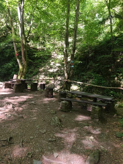The image depicts a rustic picnic area nestled within a dense forest. Two wooden tables with stone block supports are visible, one in the foreground and another further back. The ground is a mixture of dirt, gravel, and fallen leaves, with scattered rocks and exposed tree roots. Sunlight filters through the thick canopy of lush green trees, casting dappled shadows on the ground. In the background, a steep, wooded incline is densely vegetated. On a tree trunk to the left, a small red object, possibly a birdhouse or decoration, is attached. Further up the tree trunk, several colorful, rectangular signs are mounted. The scene appears to be a designated rest stop or picnic spot within a natural area, likely part of the natural surroundings of Teteven, Bulgaria, given the overall appearance of a forest commonly found in such regions. There are no people or animals visible in the image, and no discernible actions or interactions are taking place. The environment is natural and undisturbed, with the man-made elements being the picnic tables and signs.