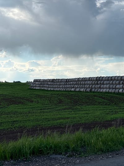 The image depicts a rural landscape. A row of hay bales stretches into the distance, positioned between a green field and a sky filled with clouds. A narrow strip of roadside vegetation and gravel is visible on the far right. The image appears to be rotated. Specific details tying the location to Merinovshchina, Russia are not discernible.