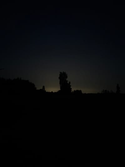 The image depicts a dark, rural landscape at night. The foreground is a silhouetted field. Behind the field, a dark treeline runs horizontally across the image, with various trees and foliage rendered in shadow. In the middle ground, a lone tree stands prominently, its silhouette distinct against a faintly illuminated sky. The sky itself is dark, with a subtle, diffused light low on the horizon, suggesting a distant light source or the last remnants of twilight. A few faint stars are visible in the upper portion of the sky. The overall impression is one of a tranquil, unpopulated night scene. The location is Vabališkės, Lithuania.