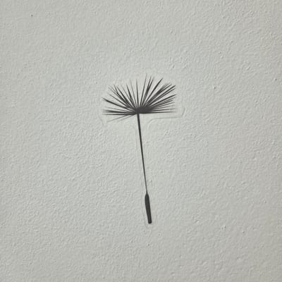 A close-up, high-angle shot shows a dandelion seed head casting a shadow on a textured, light-colored wall. The seed head is the primary subject, with its delicate feathery parachute and the slender stem reaching out to the right. The shadow it casts mimics its shape, with the fan-like structure of the pappus creating a starburst pattern and the stem extending into a dark, elongated oval. The wall appears to be painted or stuccoed, exhibiting a rough, uneven surface with small indentations and variations in tone. The lighting suggests a light source from the upper left, casting a distinct shadow that highlights the intricate structure of the seed. The overall impression is one of quiet observation, focusing on the ephemeral beauty of a common natural element. The setting is an indoor or outdoor wall, but the context of Piešťany, Slovakia, is provided externally. There is no visible text in the image.