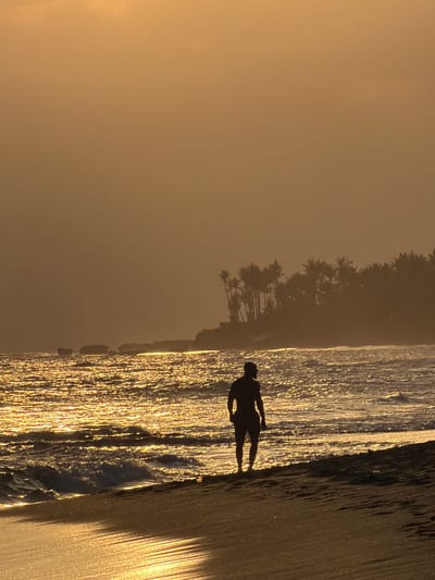 This is a vertical, low-angle, silhouetted photograph of a person standing on a beach at sunrise or sunset. The sun is low in the sky, casting a warm golden light and creating a strong silhouette of the person. The person is standing in shallow water, with waves gently lapping around their ankles. The water is highly reflective, catching the sunlight and creating a shimmering effect. 

In the background, there is a dense line of palm trees that extends along the coastline. The sky is hazy and overcast, suggesting a humid or foggy environment. The overall mood of the image is serene and peaceful, with a sense of solitude and connection to nature. The location is identified as Mengwi, Indonesia, a region known for its beaches and tropical climate.