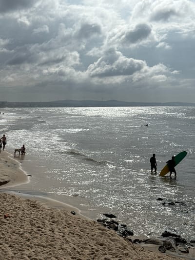 The image depicts a beach scene in Phan Thiết, Vietnam, under a cloudy sky. In the foreground, a sandy beach leads to the ocean. Along the shoreline, several individuals are visible. To the left, two people are standing, and further down, a person is kneeling with a dog beside them. In the middle ground, two figures are wading in the shallow water, one carrying a surfboard. In the distance, a lone figure is swimming or surfing in the sea. The ocean appears choppy, with sunlight glinting off the waves. The background shows a distant shoreline with rolling hills and what appear to be wind turbines, suggesting a coastal area with renewable energy infrastructure. The overall atmosphere is overcast, with dramatic cloud formations.