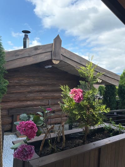 In Nizhnyaya Shilovka, Russia, a wooden building with a dark wood exterior and a prominent metal chimney is visible under a cloudy blue sky. The building's roof is angled and features a decorative wooden element at its peak. In front of the building, a wooden planter box contains a small evergreen tree and two large pink hydrangeas. Another smaller pink hydrangea blooms in the background. The ground around the planter box is covered with white gravel. The scene appears to be an outdoor area, possibly a garden or patio, adjacent to the rustic wooden structure. There are no people present in the image.