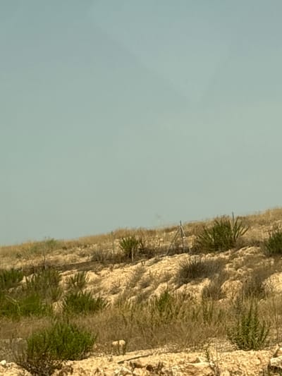 The image shows a dry, hilly landscape with sparse vegetation under a clear, pale blue sky. The terrain is characterized by rough, sandy soil with scattered rocks. Several patches of dry, yellowed grass and straw-like vegetation are visible, interspersed with small, green shrubs and bushes, some of which appear to be somewhat dense and spiky. In the middle ground, a simple fence or barrier made of thin metal poles is present, with some poles appearing to be a lighter grey color, possibly indicating a different material or condition. One pole has a triangular support structure at its base. The overall impression is of a semi-arid or arid environment, possibly in a rural or undeveloped area. Without specific visual cues linking this scene to Caudete, Spain, the location remains general.