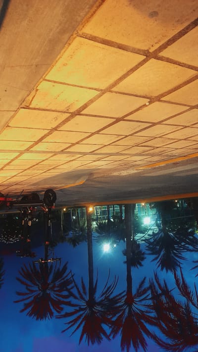 The image depicts a nighttime scene that is rotated 90 degrees counterclockwise, suggesting it was captured in a location with palm trees, potentially near a coast or tropical area, such as Puerto La Cruz or another coastal city in Venezuela. The foreground, which appears at the top of the rotated image, shows a textured, tiled surface, possibly a walkway or plaza, illuminated by warm artificial lights. To the left of this tiled area is a portion of a dark road or pavement with a yellow line marking its edge.
In the background, also seen upside down relative to the typical orientation, is a dense line of palm trees silhouetted against a deep blue night sky. The fronds of the palm trees are a dark red, suggesting they are either artificially lit from below or reflecting some form of reddish light source. Several bright, white lights are visible among the trees, illuminating parts of the foliage and the sky, with one particularly bright light creating a lens flare effect. Behind the palm trees, the outline of a building with numerous illuminated windows can be discerned.
In the lower left of the rotated image, a piece of equipment resembling a camera dolly or some sort of multi-wheeled cart is visible. It is dark in color, with visible wheels and mechanical components. It appears to be stationary. There are no visible people in the frame. The overall impression is one of a well-lit urban or resort area at night, with a focus on the juxtaposition of artificial lighting and the natural forms of the palm trees.