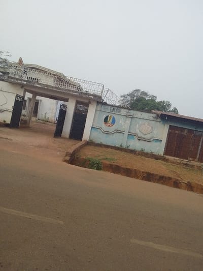 An exterior shot features a gated building with a partially visible house behind it. The gate is dark, with a white-topped archway adorned with fencing. A light-blue wall adjoins the gate, decorated with a circular emblem containing green, red, and blue hues. A small patch of overgrown land sits between the wall and the street. The sky is overcast, contributing to a muted color palette in the scene.