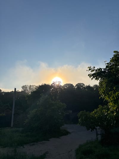 The image depicts a sunset or sunrise over a rural area, possibly on the outskirts of Strășeni, Moldova. A bright, partially obscured sun is visible in the upper center of the frame, casting a warm glow through a band of light clouds. Silhouetted against the bright sky is a dense line of trees. In the foreground, a dirt path or road curves through lush green grass and foliage. To the left of the path, a weathered wooden utility pole stands, with some indistinct structures visible behind it, suggesting a residential or agricultural area. On the right side of the image, a large tree with vibrant green leaves is prominent, its branches reaching towards the sky. The overall scene conveys a serene, natural setting with evidence of human presence in the form of the utility pole and implied structures.
