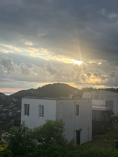 The image shows a dramatic sky with the sun breaking through clouds, casting golden rays. The scene is a vertical orientation, suggesting it may have been taken on a phone and rotated. On the right side of the frame, there are buildings on a hillside, indicative of a town or village. The architecture appears modern, with white facades and windows. A lush green tree is prominent in the foreground on the right, partially obscuring the buildings. The background features a dark, tree-covered hill sloping down towards what appears to be the sea or a large body of water, with houses scattered on the slope. The time of day appears to be late afternoon or early evening, given the low angle of the sun and the quality of light. The weather seems to be dynamic, with dark clouds giving way to sunlight. The overall mood is one of natural beauty and a picturesque landscape, possibly evoking feelings of awe or tranquility. No visible text is present in the image. The location context provided is Baranovka, Russia.
