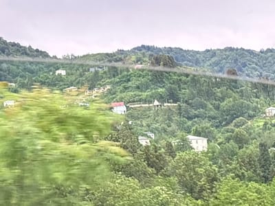 The image depicts a verdant, mountainous landscape with scattered residential buildings nestled into the slopes. The scene appears to be taken from a moving vehicle, as evidenced by the motion blur, particularly in the foreground where lush green foliage is indistinct. In the mid-ground and background, the terrain is characterized by rolling hills covered in dense trees and vegetation. Several houses are visible, varying in size and architectural style, with some having red or white roofs. One prominent white house with a red roof stands out on a clearing. The sky is overcast, casting a diffused light over the entire scene. The location is identified as Buknari, Georgia, suggesting a rural or semi-rural setting in a mountainous region. There are no people or animals clearly discernible in the image.