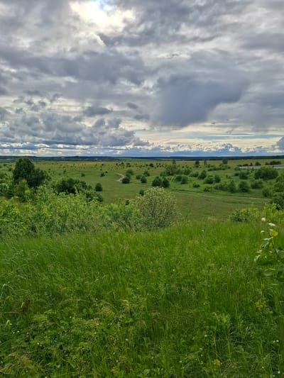 The image shows a landscape view taken in Khlevnoye, Russia. The left side of the frame features a cloudy sky with visible sunlight filtering through the clouds. The right side of the frame is dominated by a grassy area with varying heights and types of green vegetation. A field or meadow stretches out towards the horizon, dotted with occasional trees and shrubs. A dirt track or path is visible winding through the field. The horizon line is marked by a dark green band of trees. The photograph appears to be taken from an elevated position.