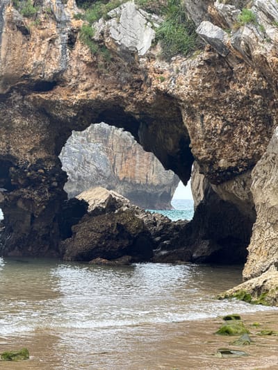 The image shows a natural rock archway formed by eroded coastal cliffs at Playa de Gulpiyuri, Llanes, Spain. The arch frames a view of the sea and distant cliffs. The foreground features a sandy beach with shallow, clear water and a few scattered rocks, some of which are covered in green algae. The rocks forming the arch are rough and textured, with varied colors ranging from light brown to dark grey. Some patches of green vegetation are visible growing on the upper surfaces of the cliffs. The lighting suggests an overcast day. There are no people or animals visible in the frame.