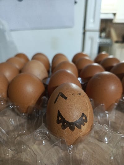A close-up, eye-level shot shows a dozen brown eggs in a clear plastic carton. The eggs are arranged in two rows of six. One egg in the front row, on the right, has a crude drawing of a face on it, featuring a mischievous grin and closed eyes. The background is blurred, but appears to be a kitchen or pantry, with a refrigerator and cabinets visible. The lighting is dim, with the primary light source coming from above and to the right. There is no indication of the location being in Guayaquil, Ecuador.