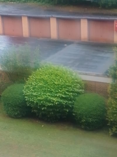 The image depicts an outdoor scene, likely in Wedel, Germany, featuring several rounded bushes in the foreground. Behind the bushes, a row of garages with brown doors and beige vertical supports is visible. The ground in front of the garages appears to be a paved area, possibly a driveway, which is wet, suggesting recent rain. The weather seems overcast, with a dark sky, and the overall lighting is subdued. The scene is predominantly green and brown, with a focus on the manicured bushes. There are no people or animals visible. The image quality is somewhat blurry, possibly due to the camera focus or atmospheric conditions. The overall impression is of a residential or communal area, perhaps an apartment complex or housing estate, with well-maintained landscaping.