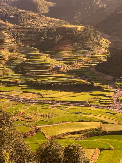 The image displays an expansive, mountainous agricultural landscape in Tu Le, Vietnam, viewed from an elevated perspective during the golden hour, evidenced by warm, directional lighting and pronounced shadows. Numerous terraced rice fields, varying in size and contour, dominate the scene, covering both steep mountain slopes and the valley floor. Most fields are vibrant green with growing rice, while others show exposed brown earth or golden-hued crops. Small, dark-roofed buildings are sparsely distributed among the terraces on the hillsides. A winding, rocky riverbed, appearing largely dry, cuts through the lower sections of the valley. Dense green trees and vegetation cover the higher, less cultivated mountain peaks and some sections of the slopes. No human figures or animals are visible.