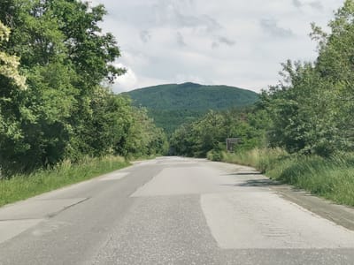 The image depicts a straight, patched asphalt road leading into a dense, forested area with a prominent mountain in the background. The scene is characterized by lush green foliage, with trees lining both sides of the road and covering the entire mountain. Some trees on the left exhibit white blossoms.
No people are visible in the photograph, and activity is limited to the implied journey along the road. A dark, indistinct shape, possibly a vehicle, can be seen far down the road.
Notable details include the heavily patched and worn appearance of the road surface, indicating significant repair or age. The sky is overcast with gray clouds, suggesting a cloudy day, possibly late morning or afternoon, as the lighting is bright but diffused. On the right side of the road, a brown directional sign is partially visible. The text, written in Cyrillic, clearly indicates "Траяново" (Trayanovo) and "6 km" (6 kilometers), directing travelers towards this location. The overall setting evokes a serene, natural environment, consistent with a rural or mountainous region like Gorna Vasilitsa, Bulgaria.