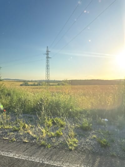 The image depicts a rural landscape bathed in the golden light of a setting or rising sun. In the foreground, a rough, textured surface, likely a road or path, runs diagonally across the bottom of the frame. To the left and center of the foreground, there is dense, green vegetation with tall, thin stalks and scattered small white flowers, along with a single red poppy.

Dominating the midground and stretching towards the horizon is a vast, dry field, likely agricultural, with a warm, golden-brown hue. In the distance, a single, tall, lattice-like electricity pylon stands prominently against the clear blue sky. Several high-voltage power lines extend from the pylon and disappear towards the right of the frame. The sky is a clear, bright blue, transitioning to a bright, washed-out yellow and white on the right side, indicating the intense glare of the sun. The overall scene suggests an open, natural environment, possibly on the outskirts or surrounding countryside of Tvarditsa, Bulgaria. There are no people or animals visible in the image.