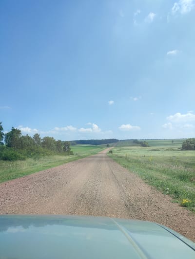 The image depicts a perspective from inside a vehicle looking out at a dusty, gravel road winding through a rural landscape. The road stretches into the distance, disappearing over a gentle incline. To the left of the road, there is a grassy embankment and a line of trees. To the right, the landscape is a mix of green fields and taller grass. The sky is clear blue with scattered white clouds. The lower portion of the image shows the hood of the vehicle, which is light blue or teal and reflects the sky and surrounding scenery. There are no people visible in the image. The location is described as the city of Bakhmut, Russia.