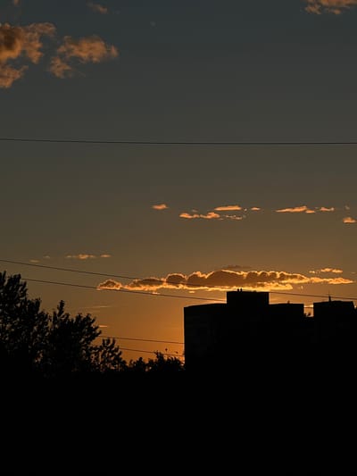 The image depicts a silhouetted view of buildings and trees against a twilight sky. The sky is a gradient of deep gray at the top, transitioning to lighter shades of orange and yellow near the horizon. Several elongated clouds are illuminated by the setting sun, appearing as bright orange streaks against the darker sky. Three horizontal power lines stretch across the frame. In the foreground, the dark silhouettes of trees are visible on the left side, and a line of buildings, including what appear to be apartment blocks, forms a dark mass on the right. The overall scene suggests an urban environment at dusk. The image was captured in Shushary, Russia.